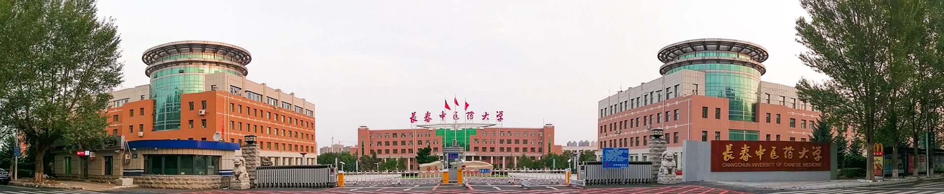 CSC Scholarships for Changchun University of Chinese Medicine